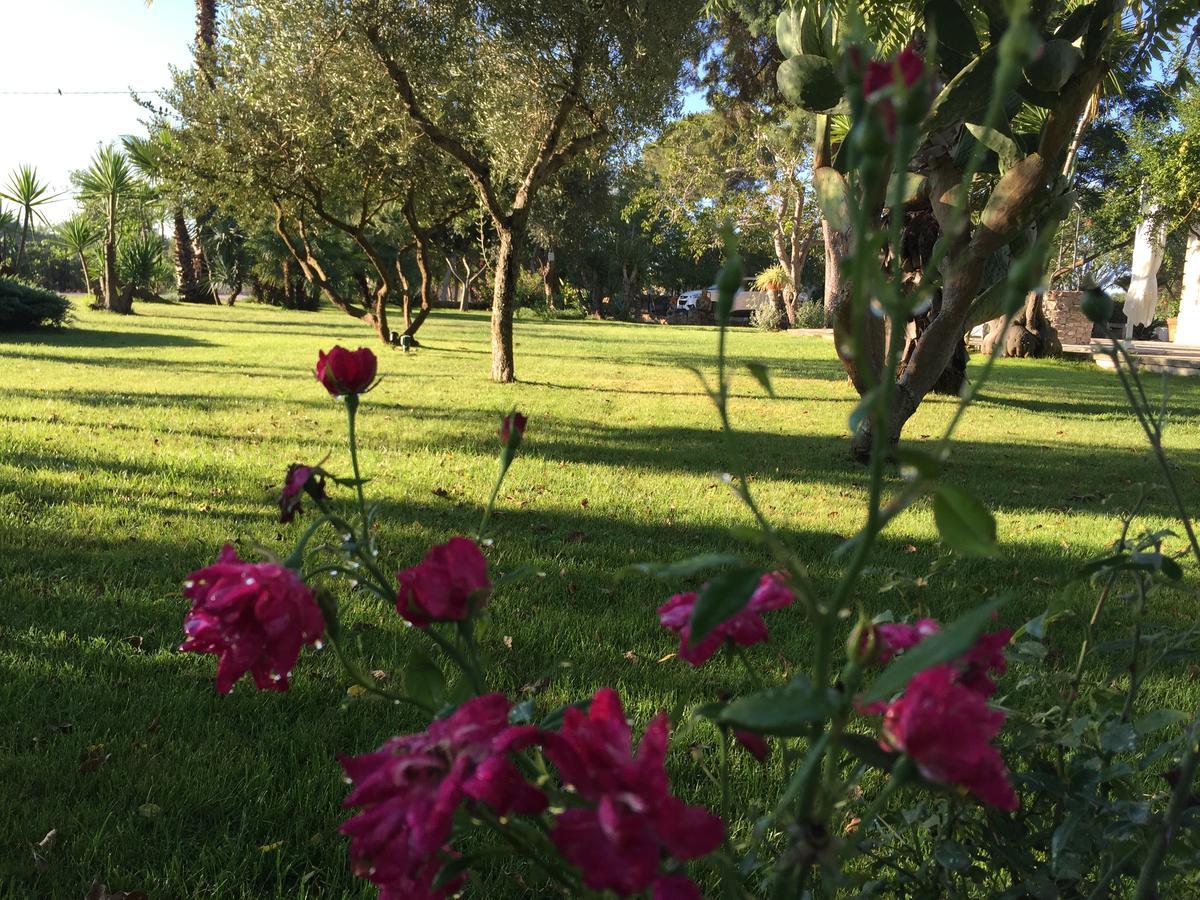 Dimora Del Duca, Masseria B&B Di Charme モンテローニ・ディ・レッチェ エクステリア 写真
